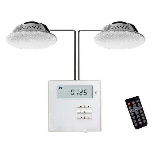 DSPPA-M2U 2 x Ceiling loudspeakers 2x10W   Wall amplifier   Playback via BT, FM, SD, USB, AUX 