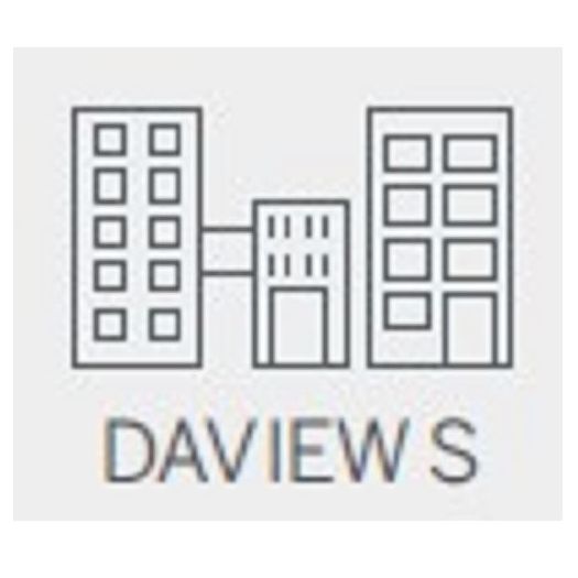 DAVANTIS-LC-S, Davanje, Daview S licenca, Za 1 video kanal