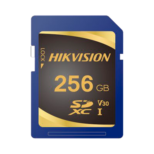 HS-SD-P10STD-256G Hikvision Memory Card   Capacity 256 GB   Class 10 | Write speed 85 MB/s 