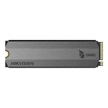 HS-SSD-E2000-256G