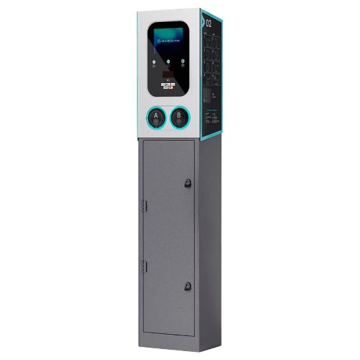 RD-GEMINI-POLE, Punjač za električne automobile, Kompatibilno s BLIZANCIMA, Uključene zaštite