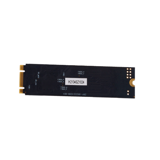 HS-SSD-E100NI-1024G-2280