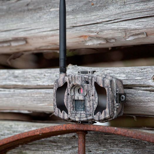 TRAILCAM-36M-4G, BolyGuard MG984G, Fotozamka 4G, GPRS, Rezolucija 8 megapiksela (do 36 interpoliranih)