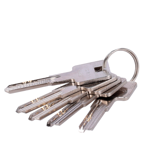 TEDEE-CYLINDER-HPLUS-3535, cilindar visoke sigurnosti s dvostrukim zaključavanjem, Anti