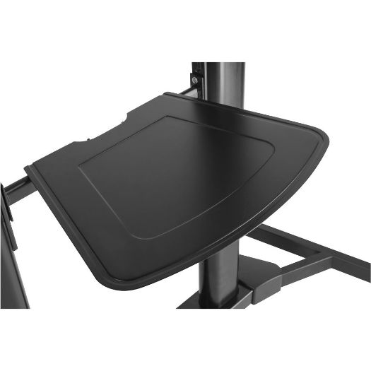 TTL03-610TW, Podni stalak s kotačima, Podržana težina 100 kg, VESA 1000x600 mm