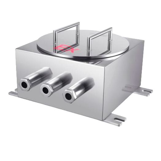 RP-EX08, Raythink ATEX upravljačka kutija, ATEX Ex d IIC T6 Gb/Ex tD A21 IP68 T80